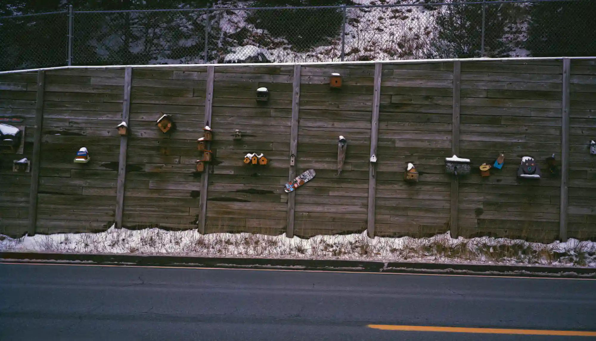 Down the Kennebec - Photo Book - Image 7