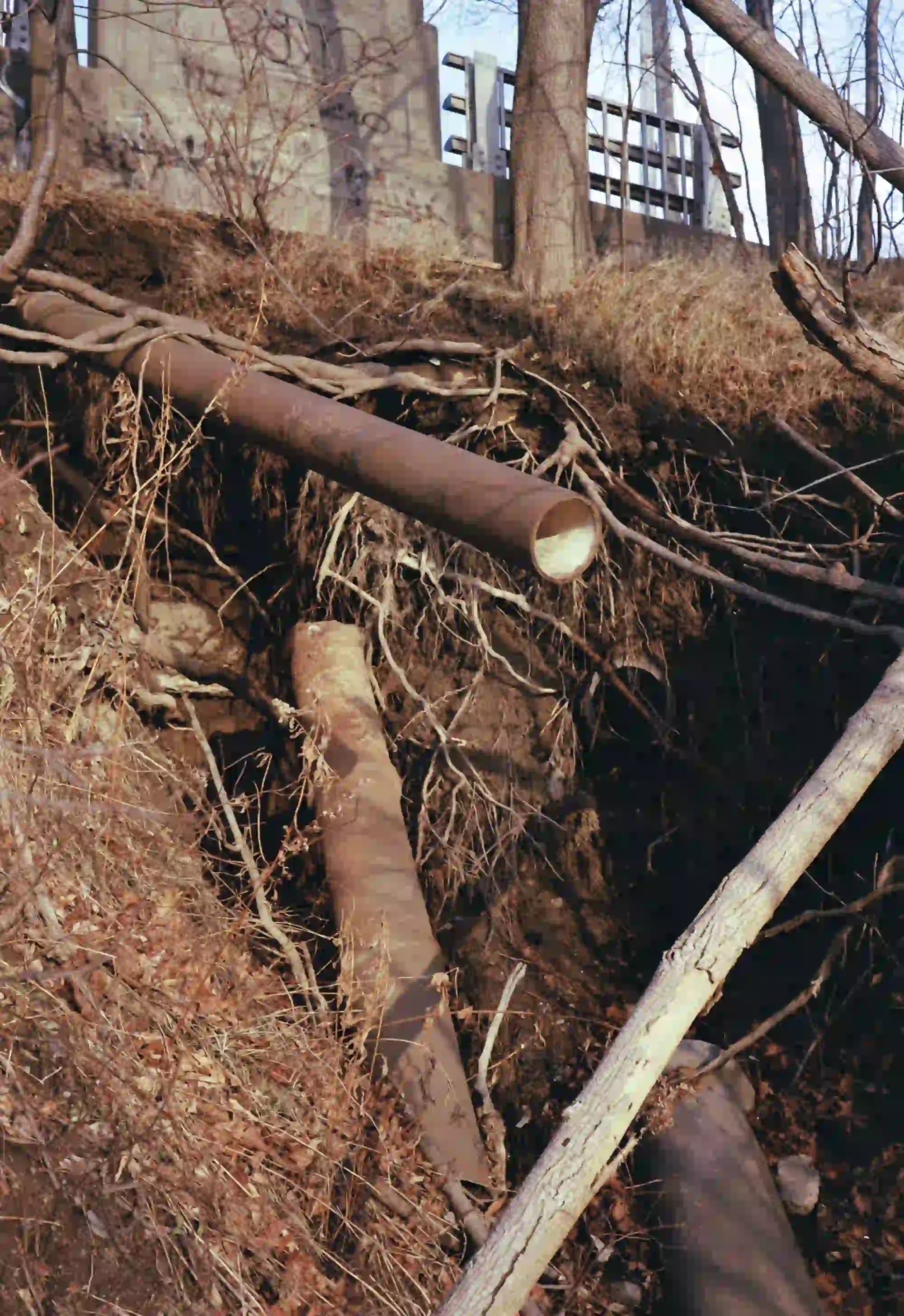 Down the Kennebec - Photo Book - Image 9