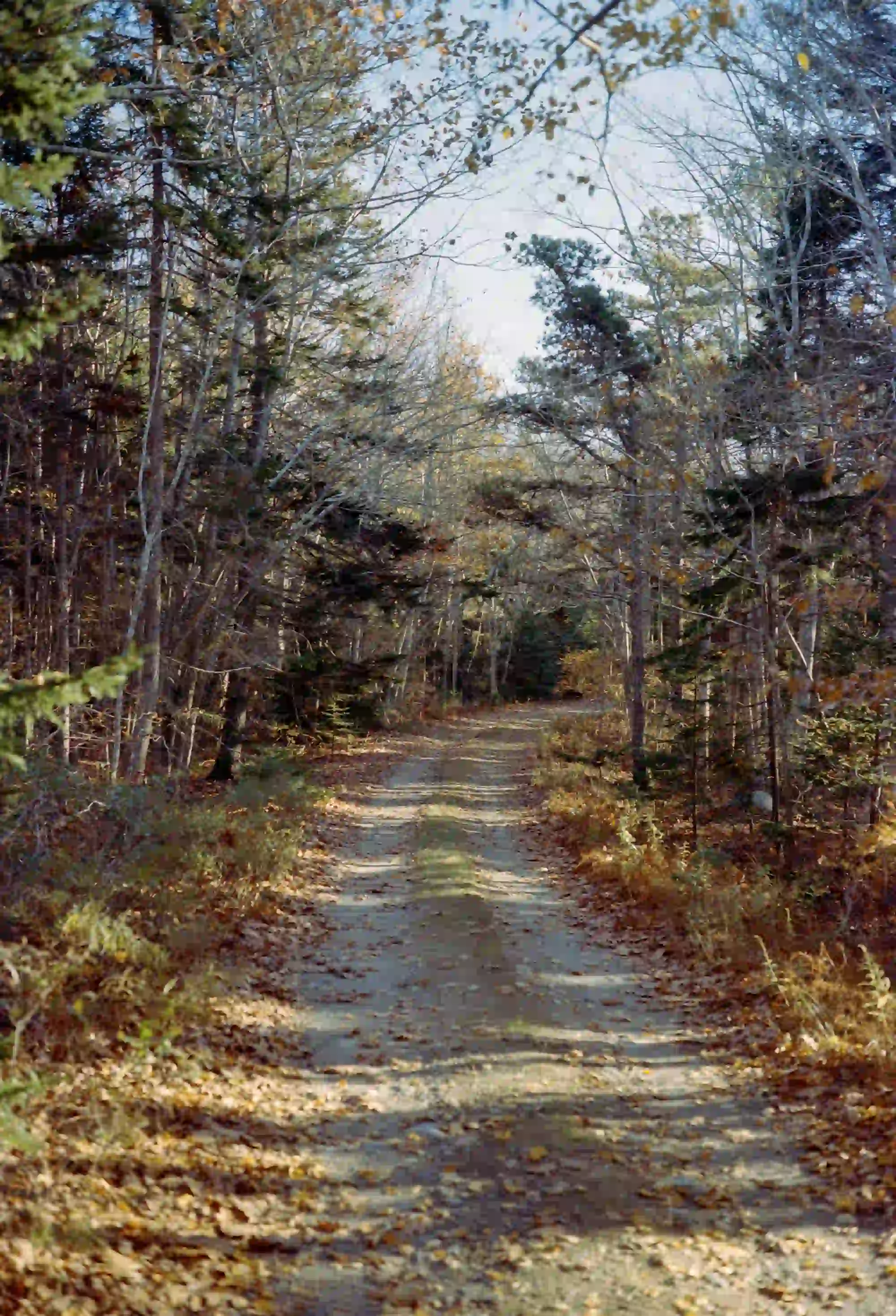 Small Point - Zine - Image 1