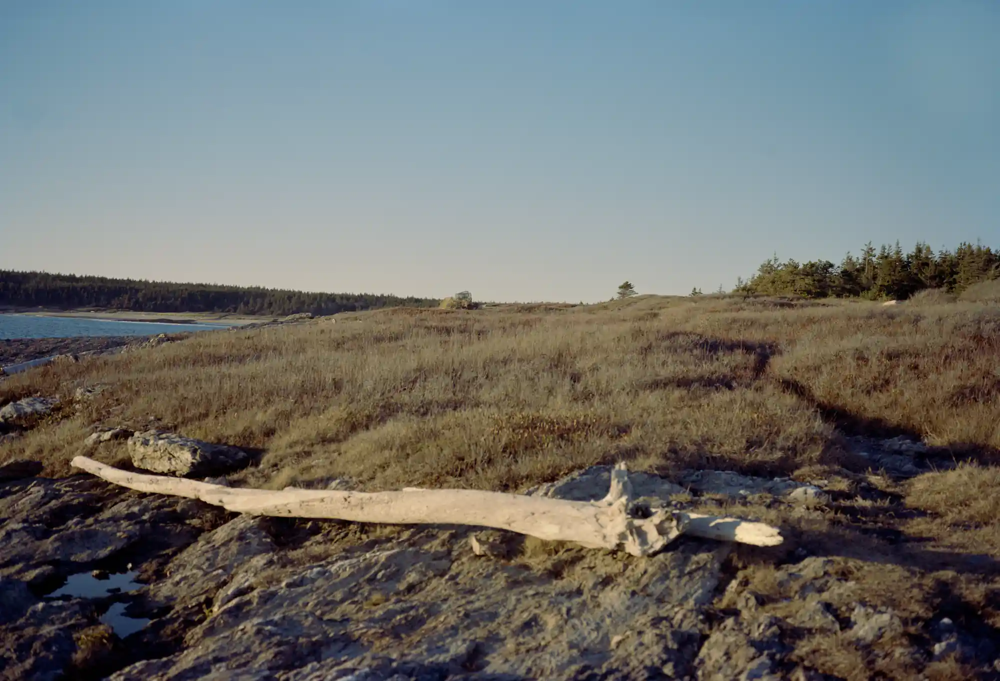 Small Point - Zine - Image 2