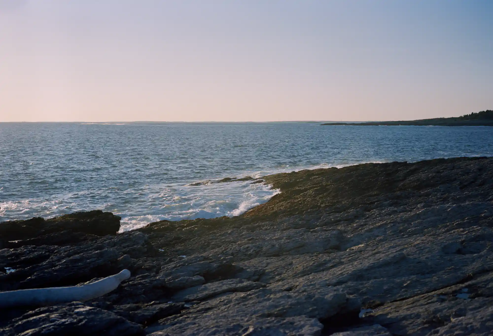 Small Point - Zine - Image 4