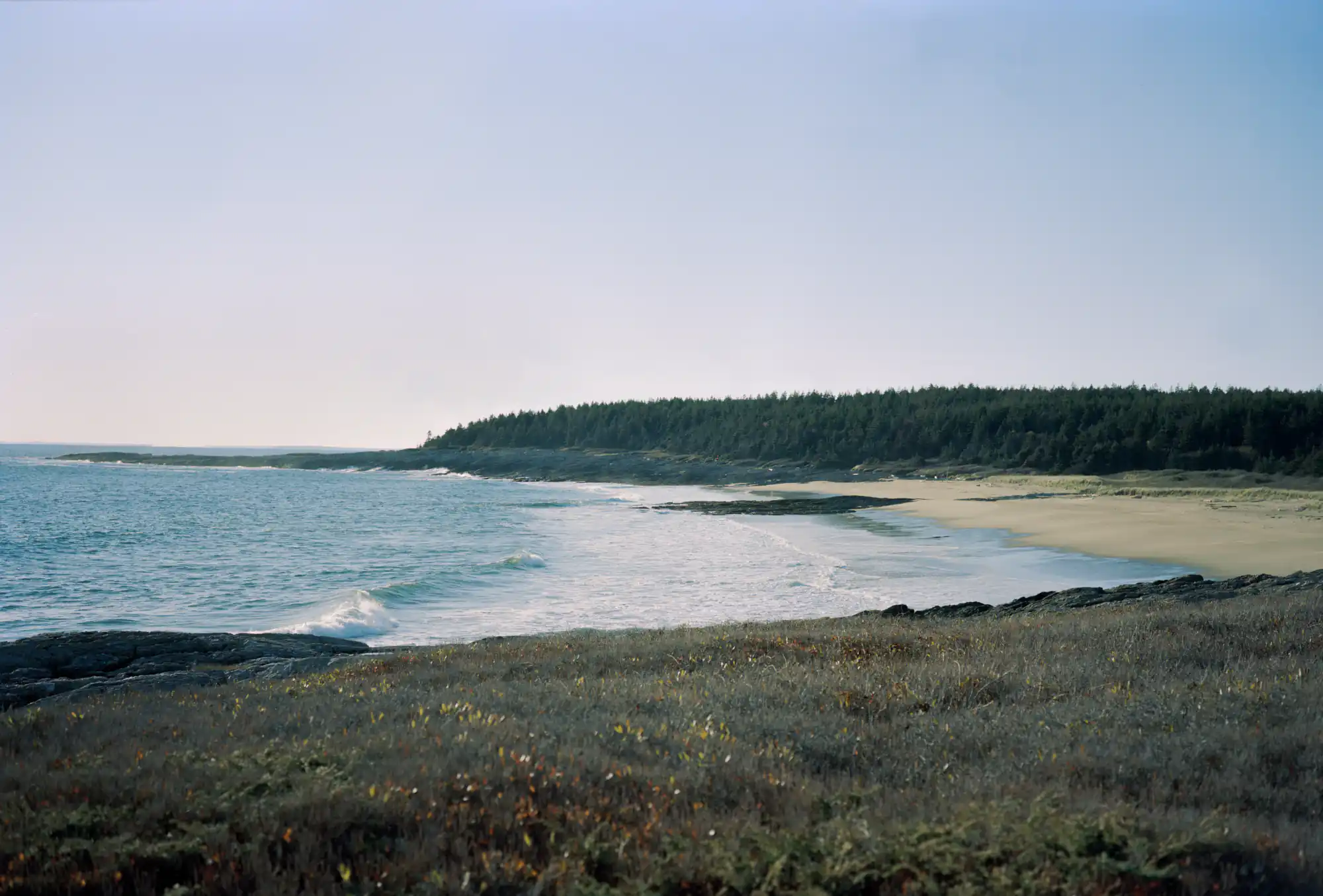 Small Point - Zine - Image 6