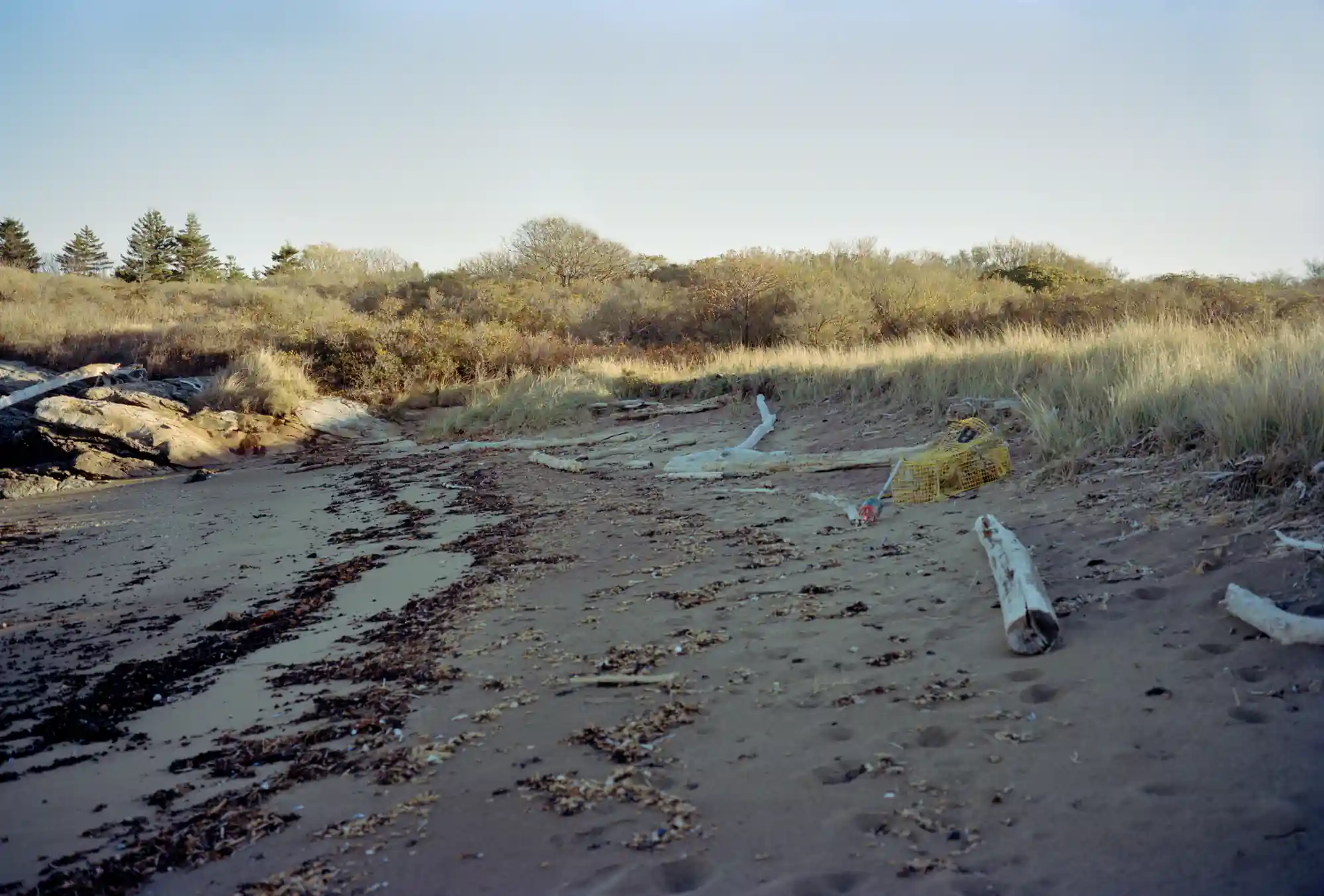 Small Point - Zine - Image 7