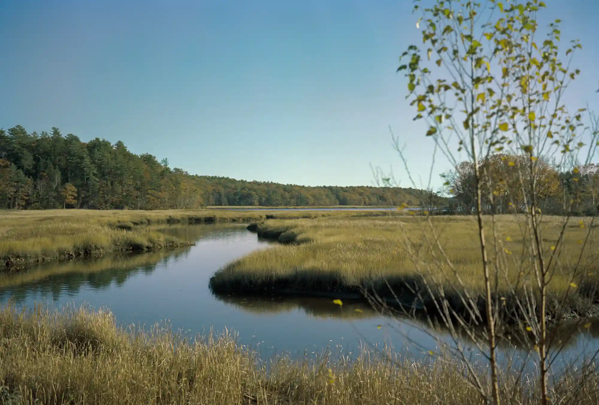 Small Point - Zine - Image 8