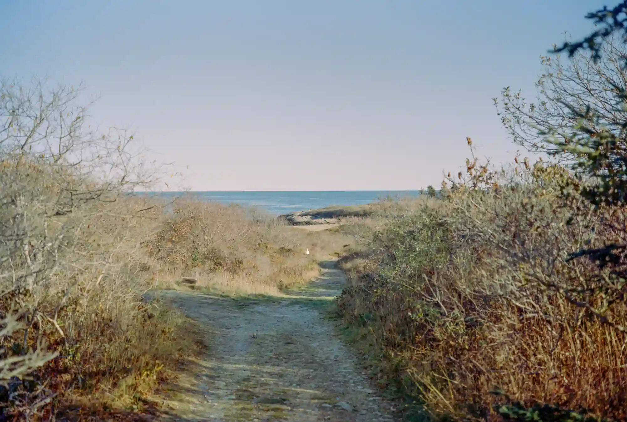 Small Point - Zine - Image 10