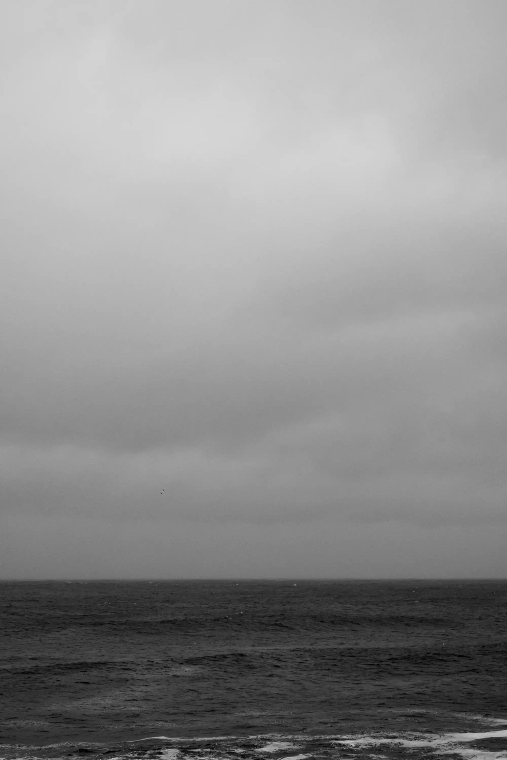 When Stop Signs Don't Exist - Photo Book - Image 17