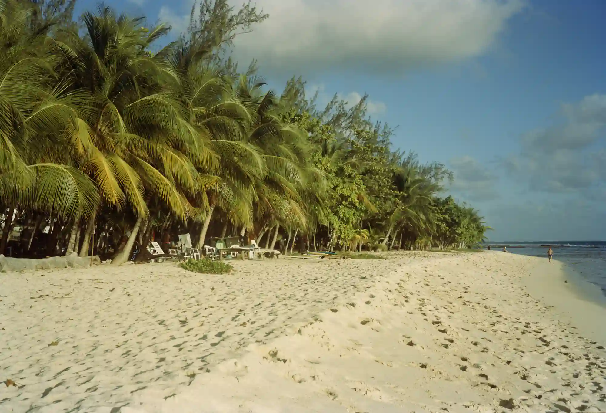 Barbados - Photo Book - Image 6