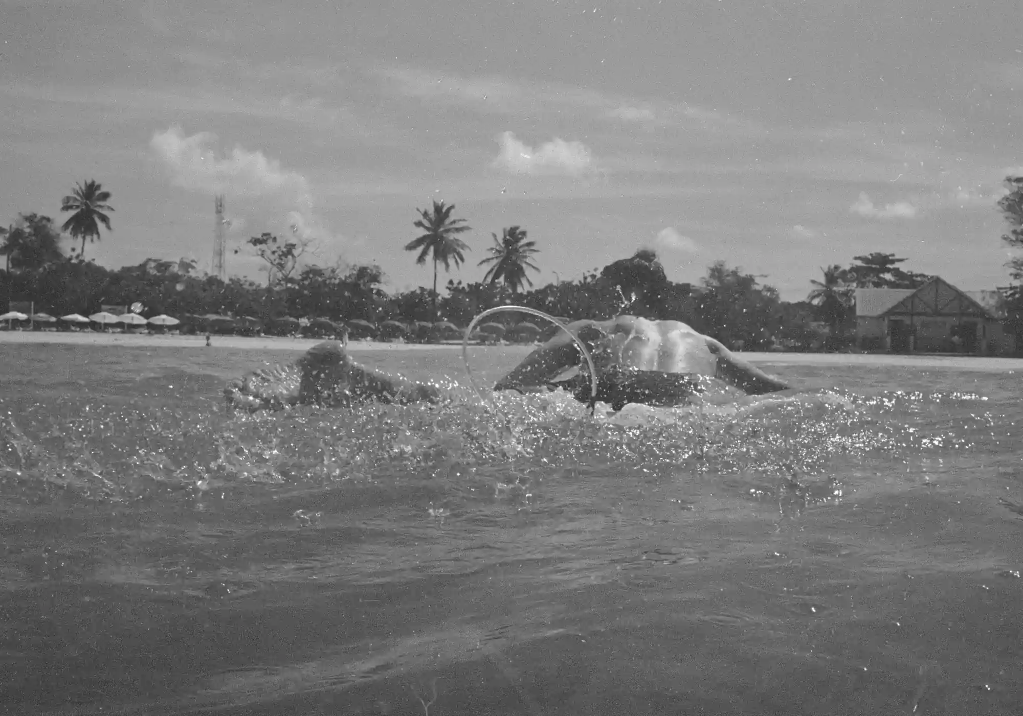 Barbados - Photo Book - Image 18