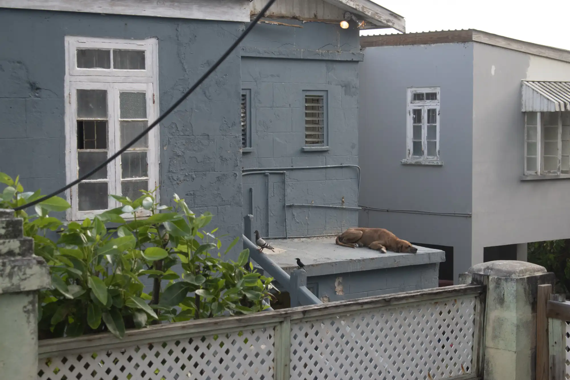 Barbados - Photo Book - Image 26