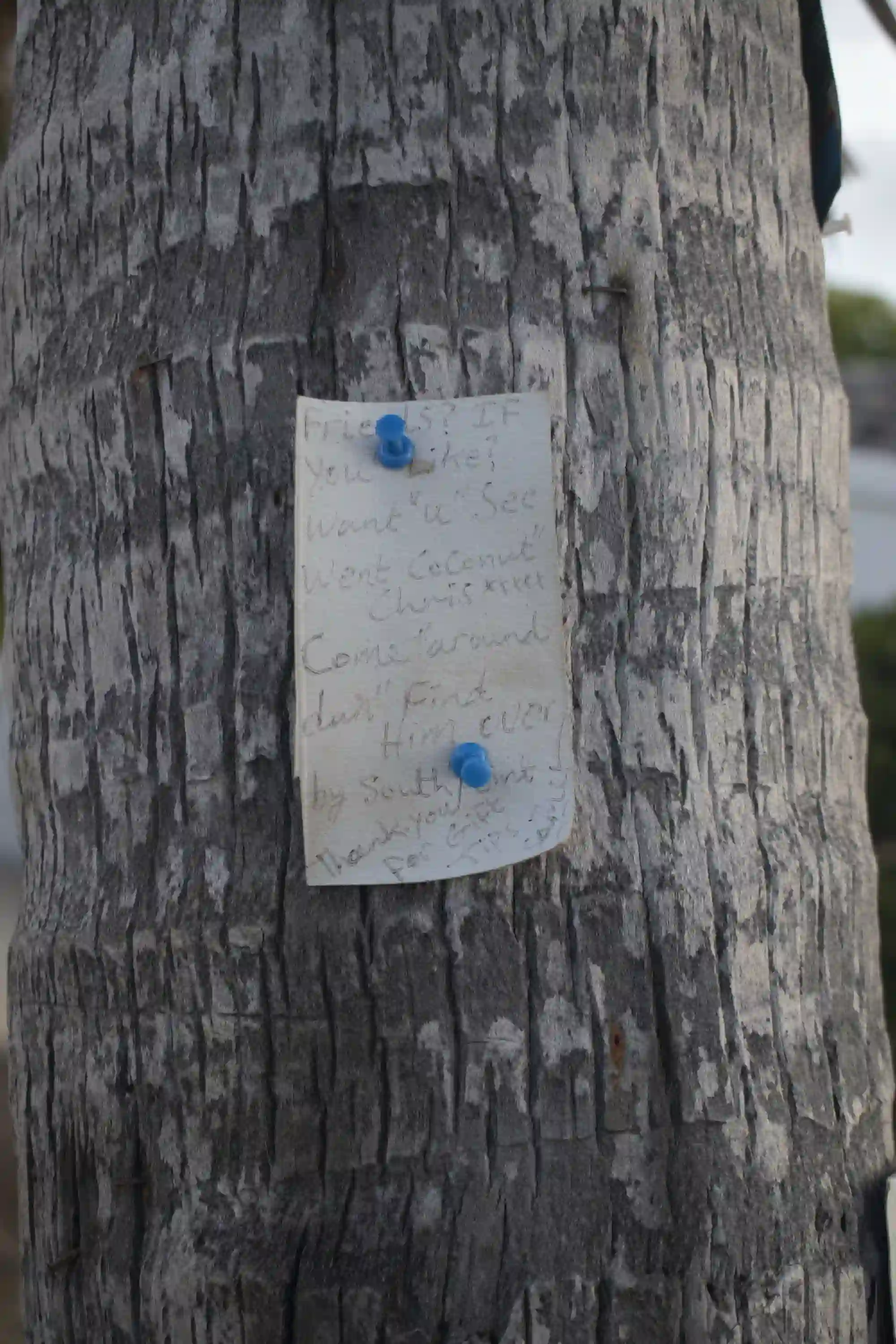 Barbados - Photo Book - Image 32