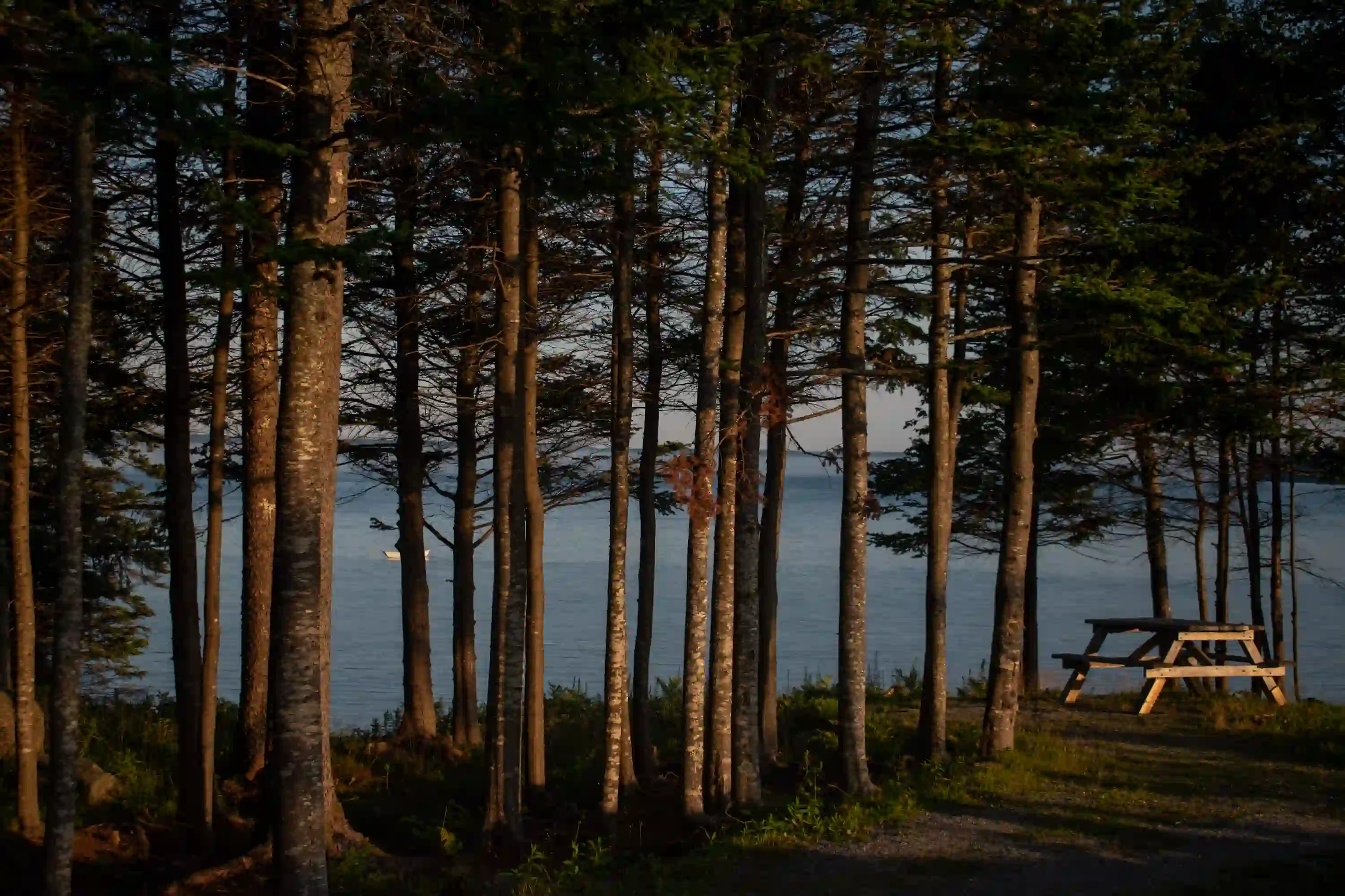 Photography - Image 3