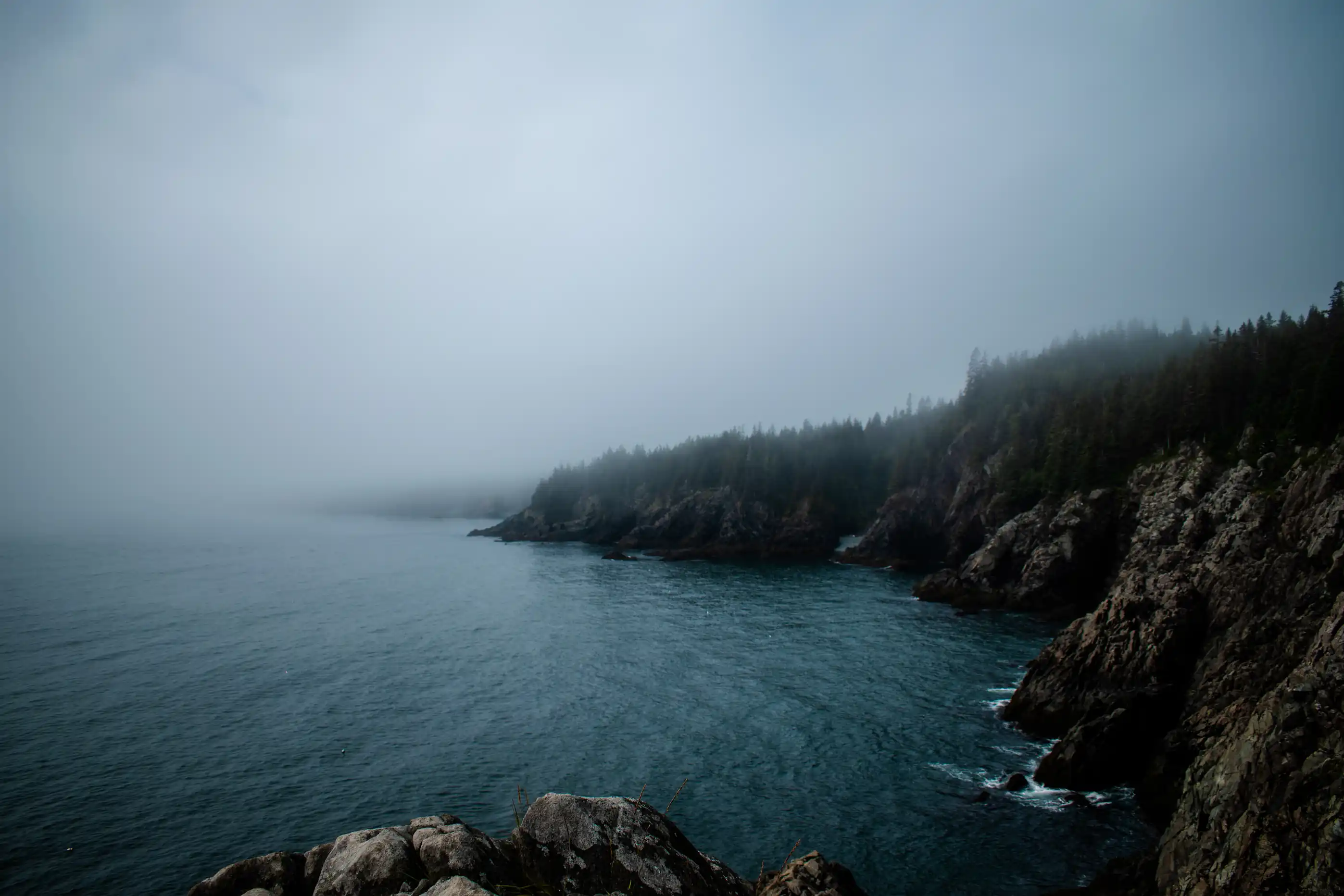 Photography - Image 7