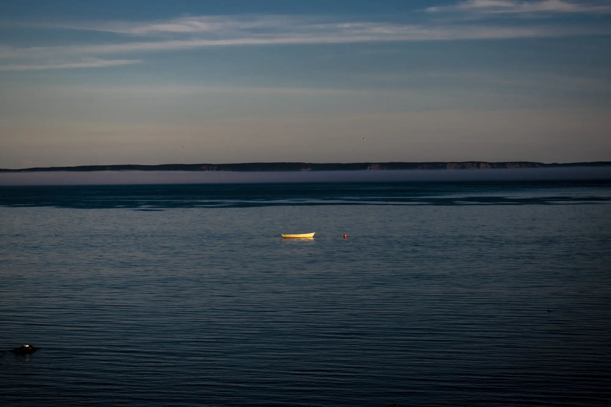 Photography - Image 8