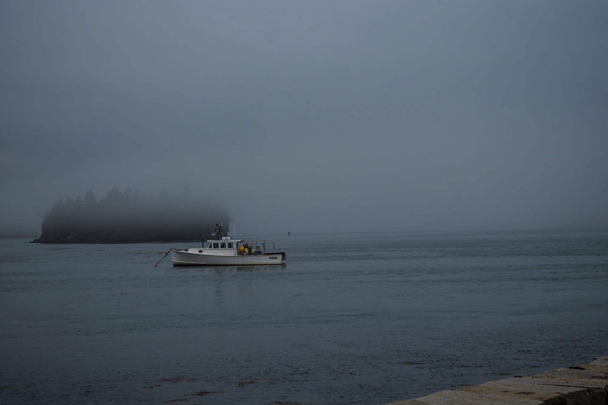 Photography - Image 9