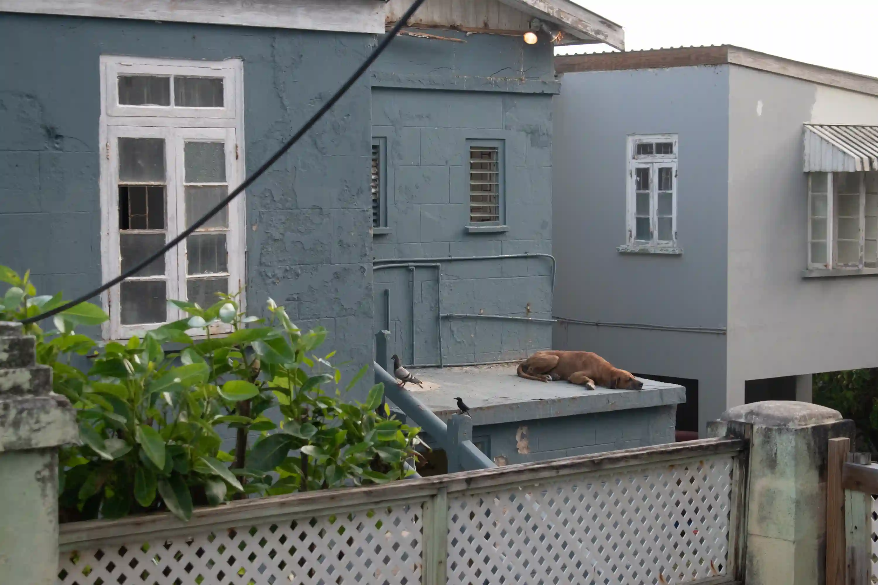 Photography - Image 10