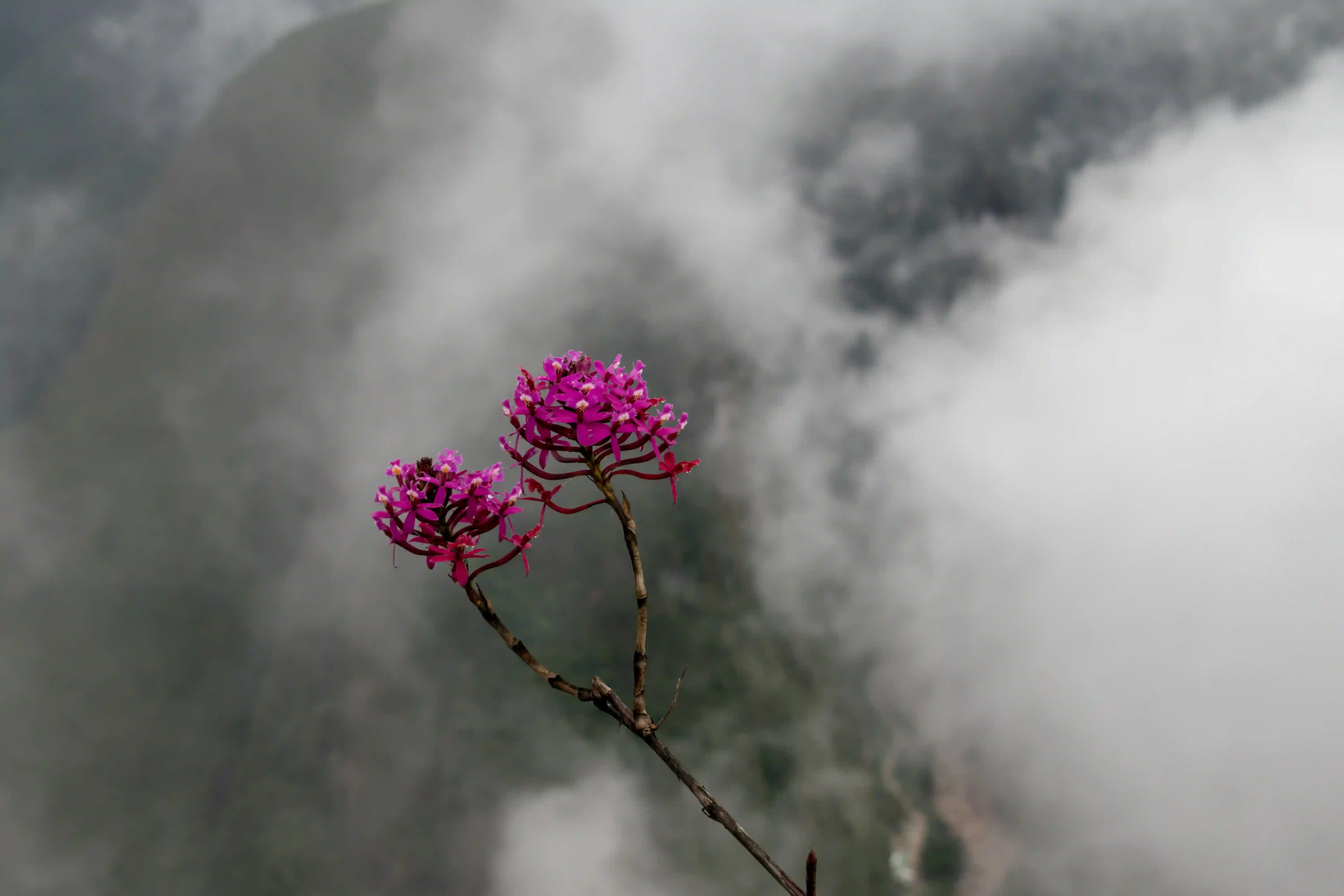 Photography - Image 12