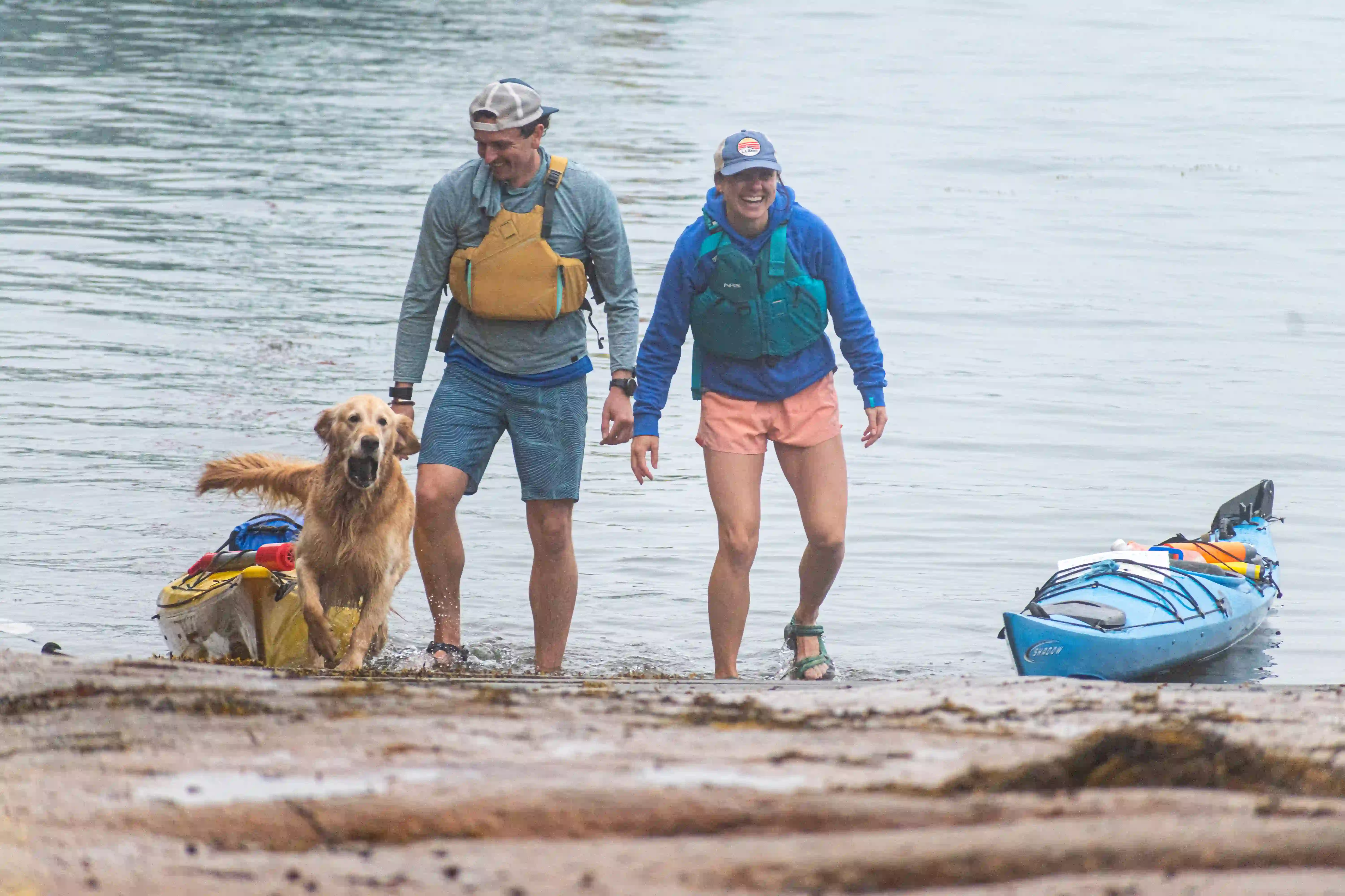 Photography - Image 14